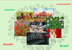 Lees meer over het artikel Opdrachten week 2